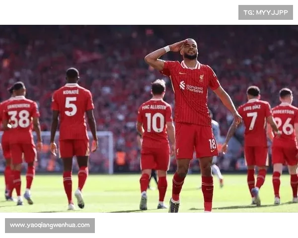 热刺完成关键交易租借拜仁后腰帕利尼亚以补强中场实力